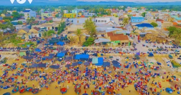 Bất Động Sản Xã Tam Anh Đà Nẵng