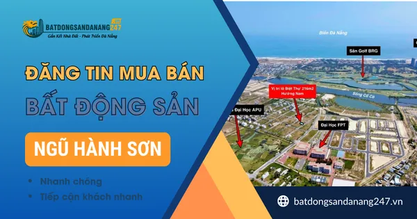 Hòa Quý Có Bị Ngập Khi Mưa Lớn Không?