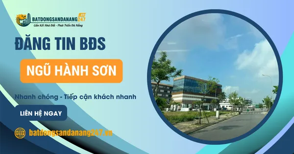 Khu Bá Tùng Có Được Quan Tâm Nhiều Không?