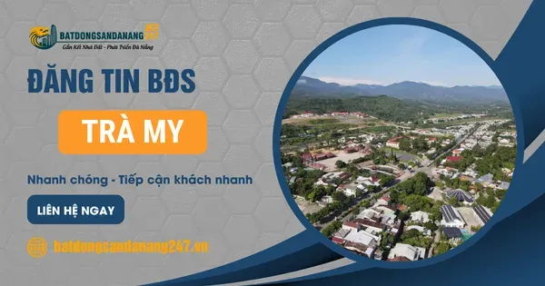 Khu Vực Được Quan Tâm Tại Trà My