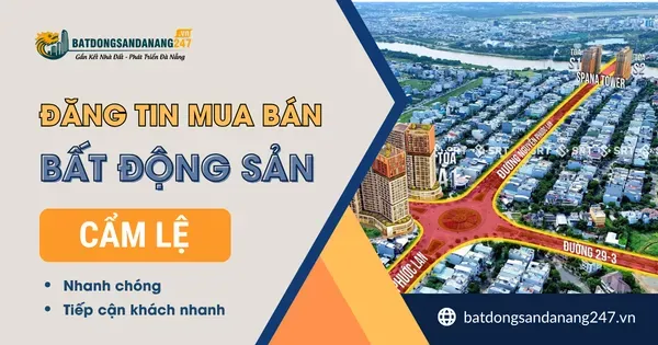 Khu Vực Nào Ở Cẩm Lệ Đáng Đầu Tư?
