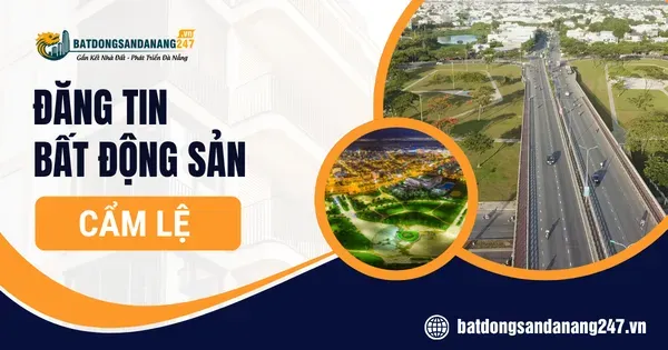 Nhà Đất Đường CMT8 Và Nguyễn Hữu Thọ Có Tiềm Năng Không?