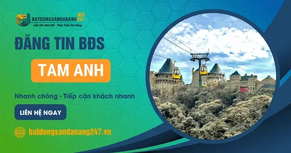 Tam Anh Có Gì Thay Đổi Sau Sáp Nhập?